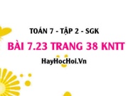 Bài 7.23 trang 38 Toán 7 Tập 2 Kết nối tri thức